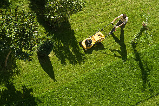 Grass and lawn cutting services